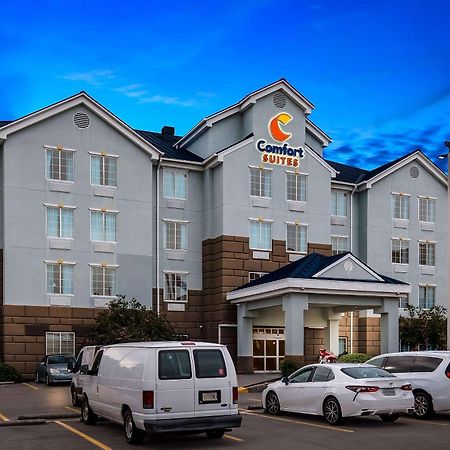 Comfort Suites New Orleans East Екстериор снимка